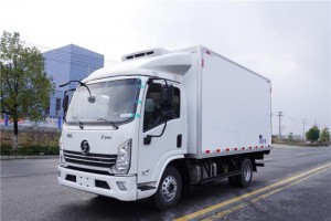 (国六)陕汽德龙K3000(4.2米)冷藏车